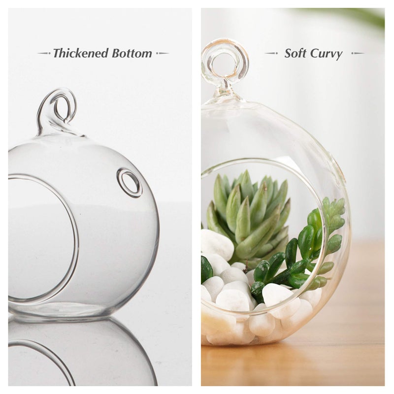 WGVI WGV Hanging Terrarium Globe, Width 8", Height 9", DIY Air Succulent Planter, Clear Glass Vase Orb with Flat Bottom, Candle Holder for Windowsill Outdoor Garden Decor, 1 Piece - Image 3